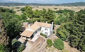 Charming Villa For Nature Lovers In Theotoky Estate Vineyard And Olive Mill
